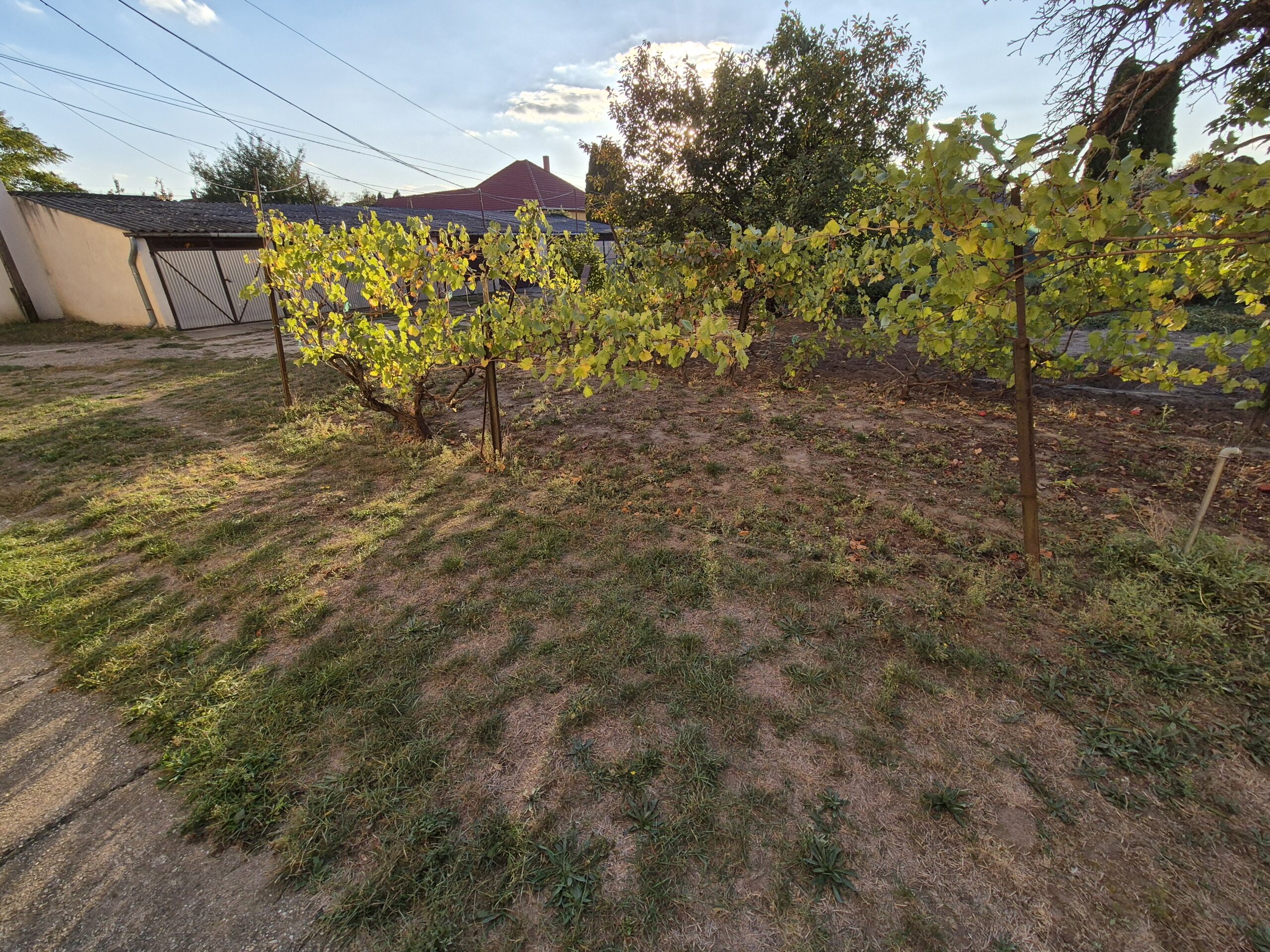 Dorozsmai felújított lakás