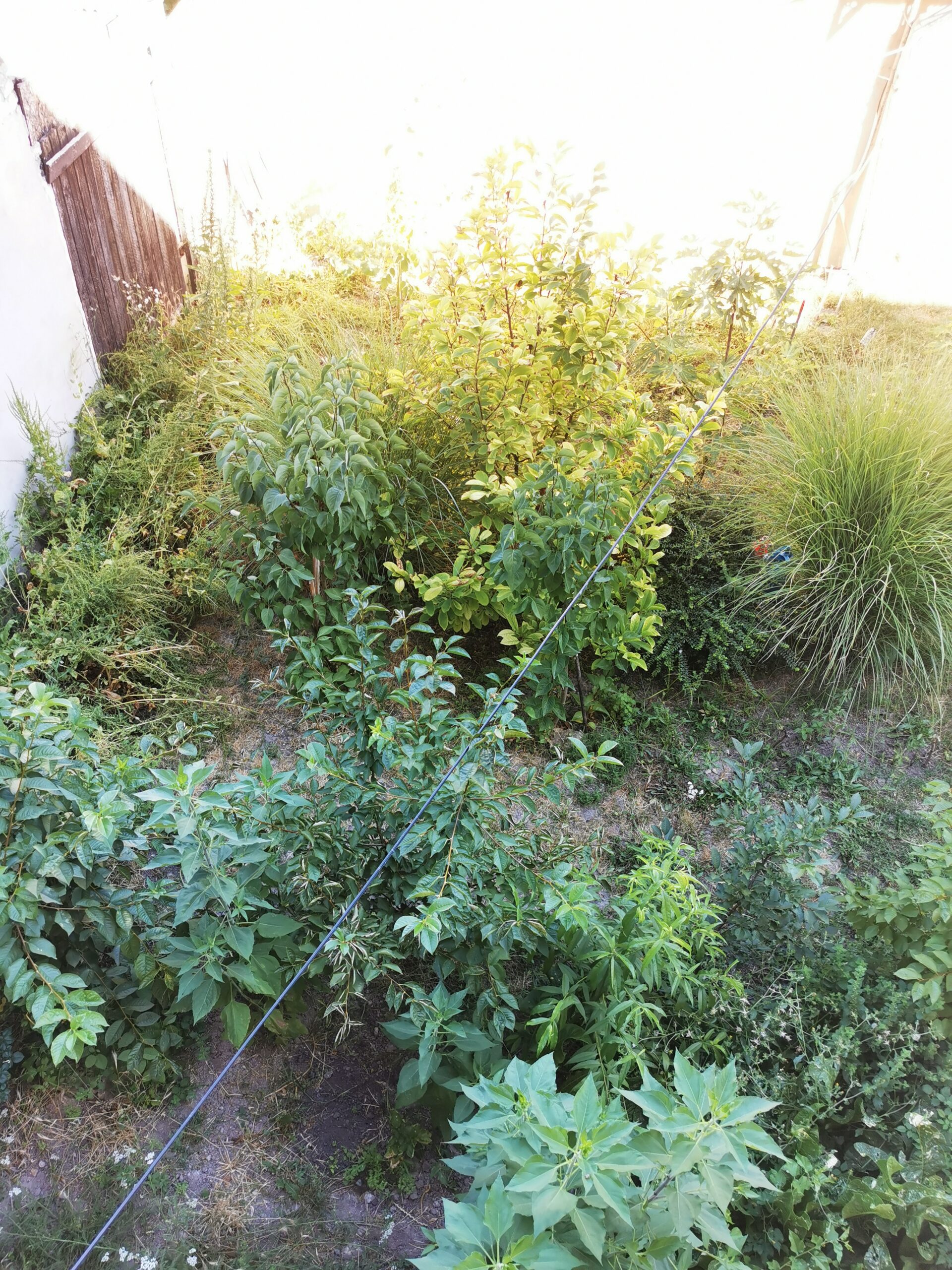 Rókusi 3 szobás lakás