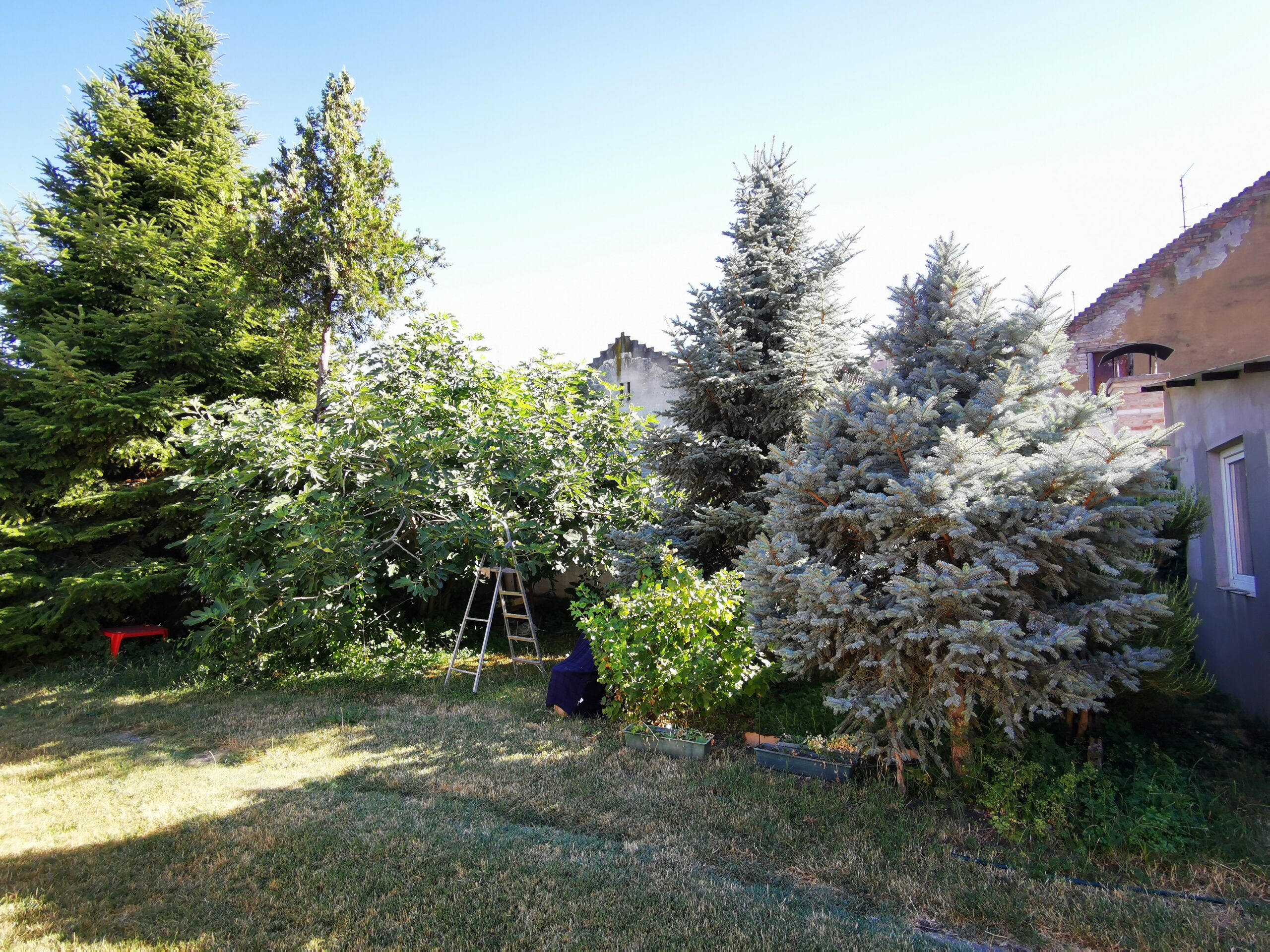 Rókusi 3 szobás lakás