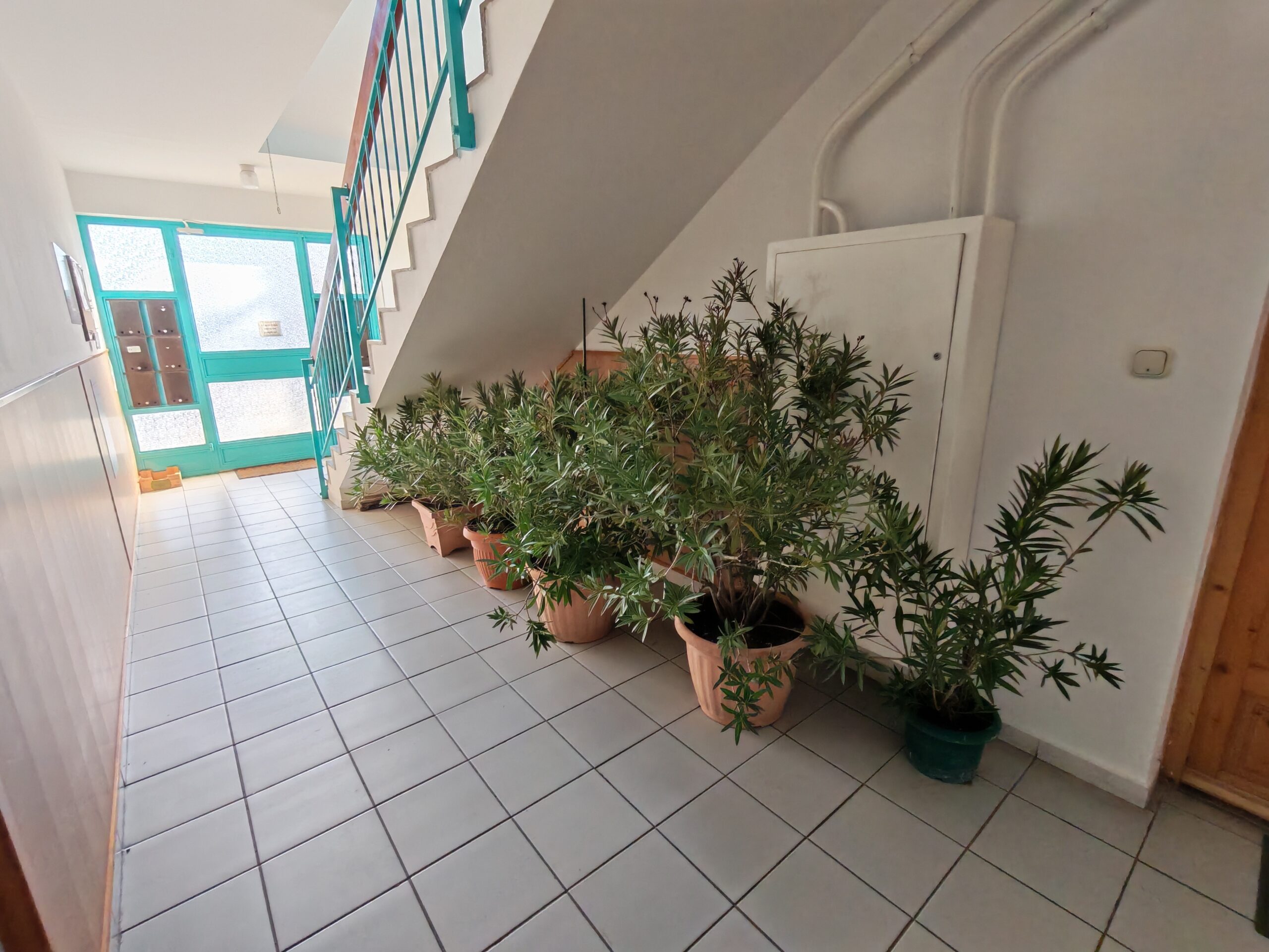 Kertkapcsolatos 3 szobás lakás